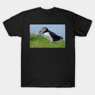 Peckish puffin T-Shirt